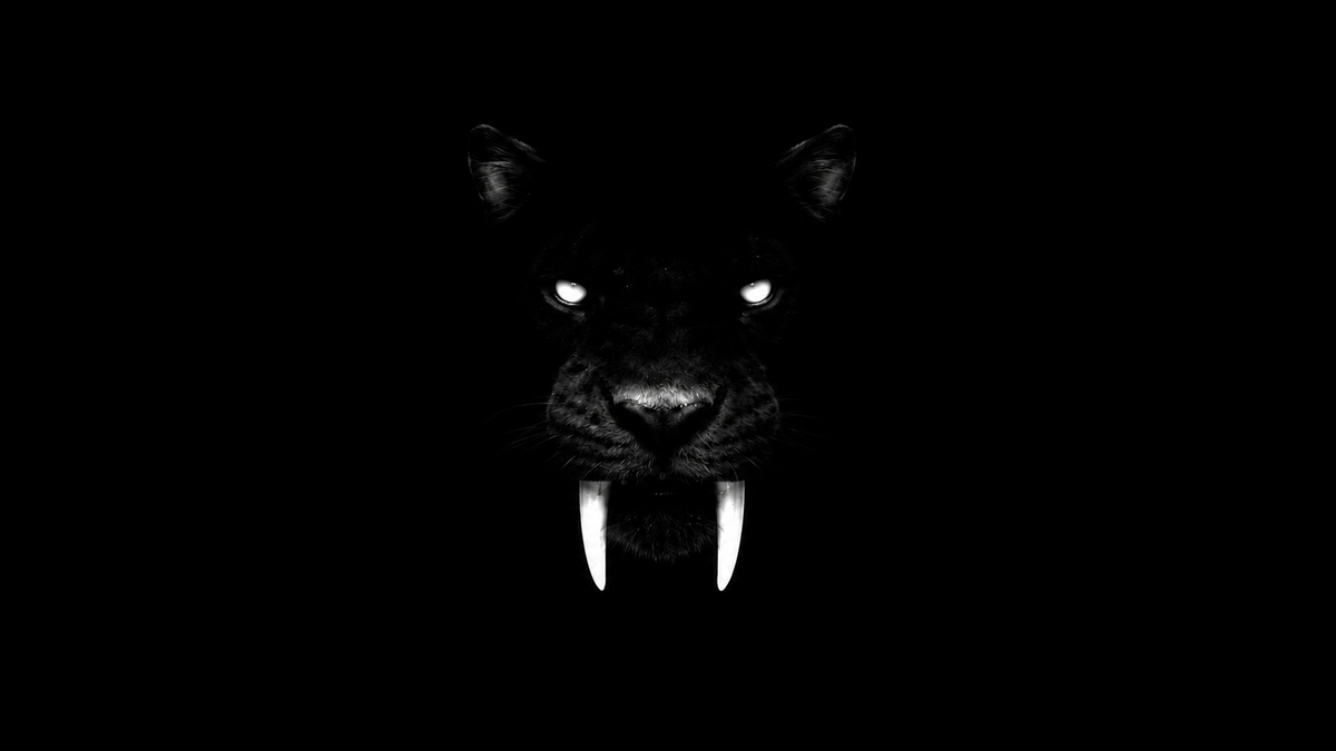 Tee-shirts Noire