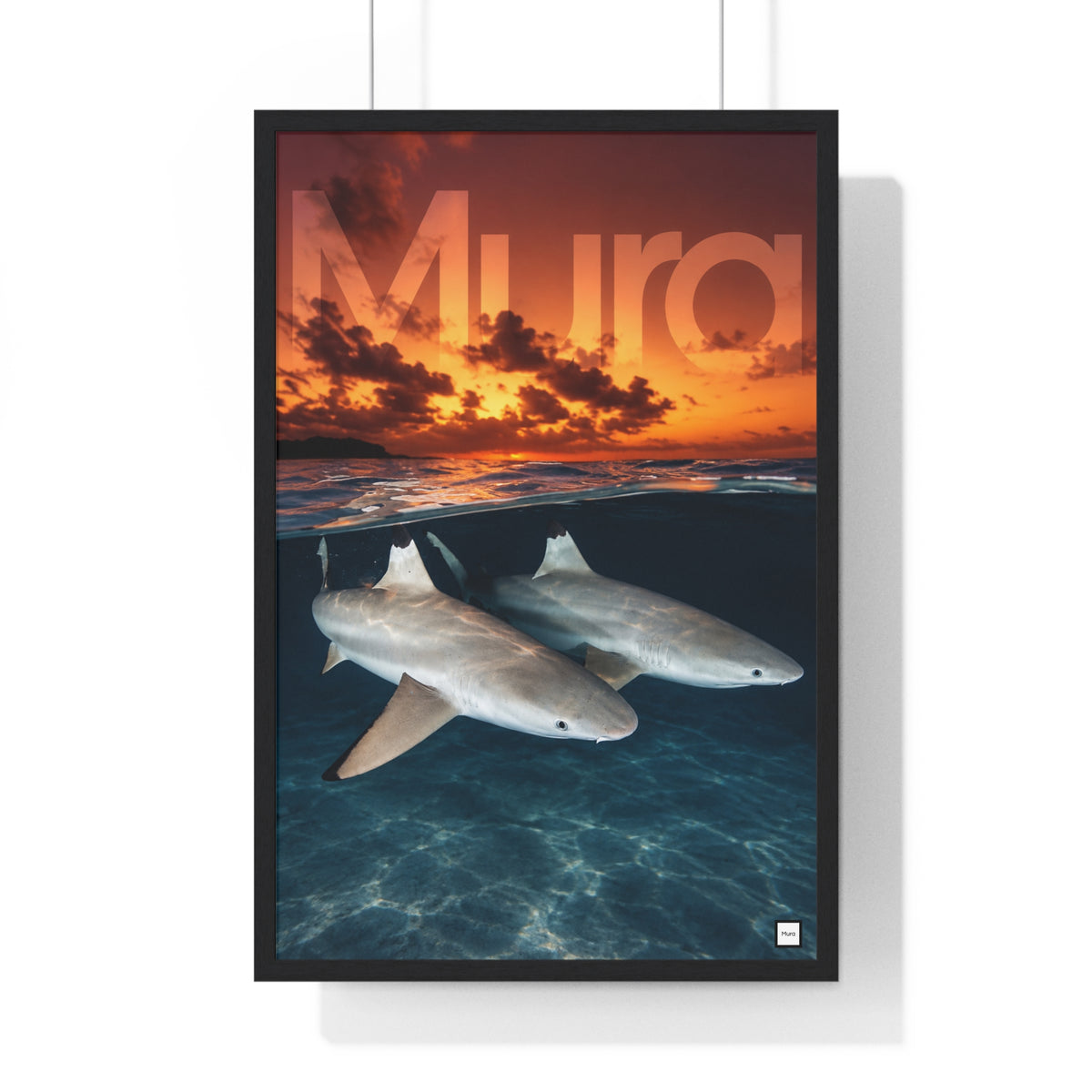 Vue du poster encadré Shark de Mura : deux requins sous la surface et coucher de soleil sur l'océan