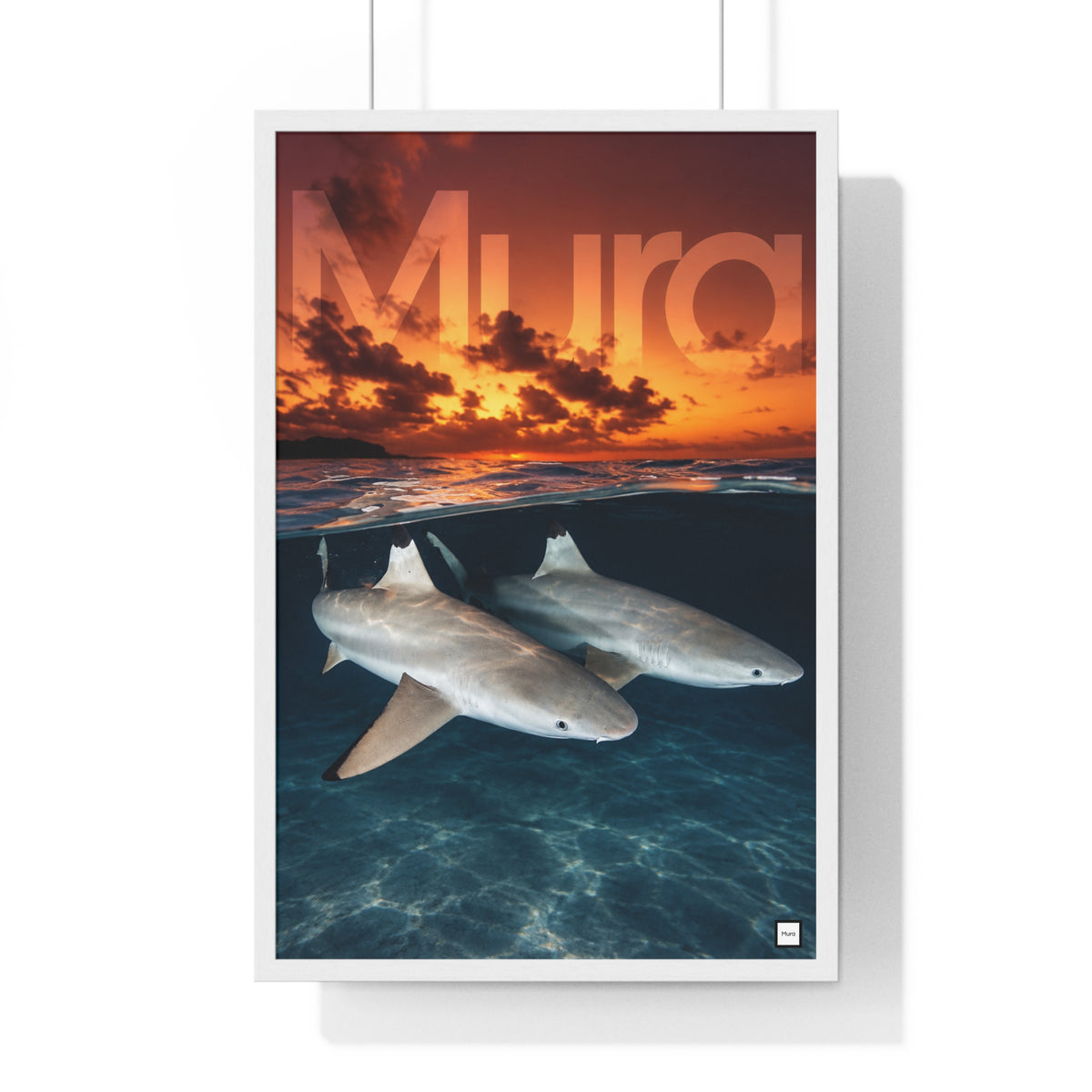 Poster encadré Shark de Mura : deux requins sous la surface et coucher de soleil sur l'océan